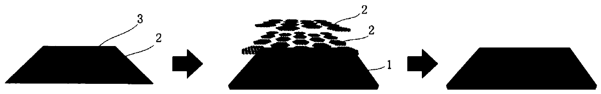 Strain detection sensor based on graphene film and method of fabricating the same