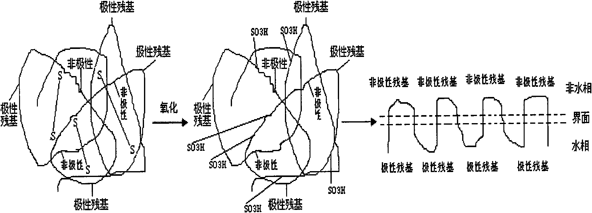 Method for preparing protein-based surfactant by opening protein disulfide bond