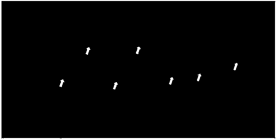 Method for rapid propagation of potato seedlings or induction of test-tube tubers using chlorine dioxide disinfection medium