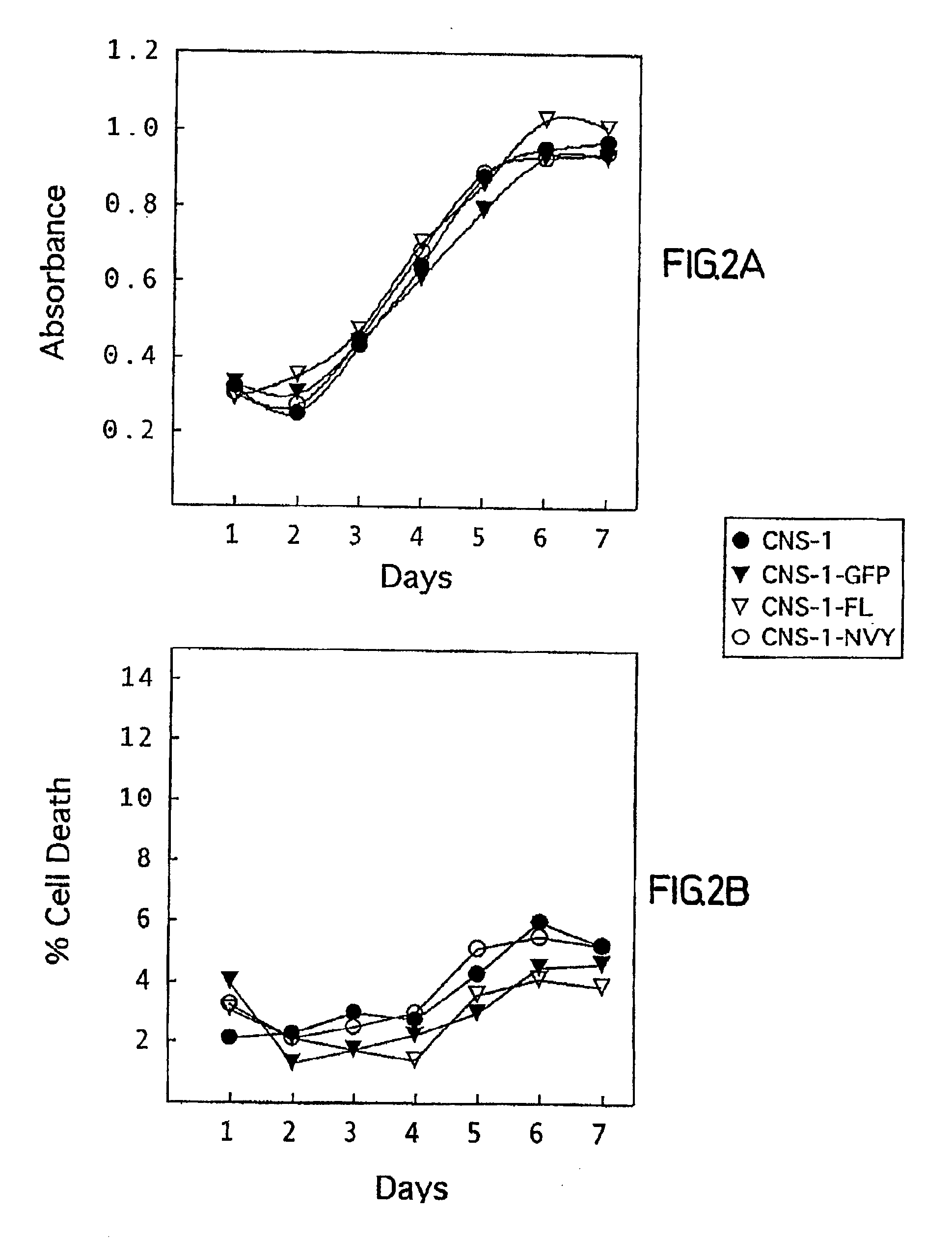 Inhibition of BEHAB cleavage and primary central nervous system (CNS) tumors