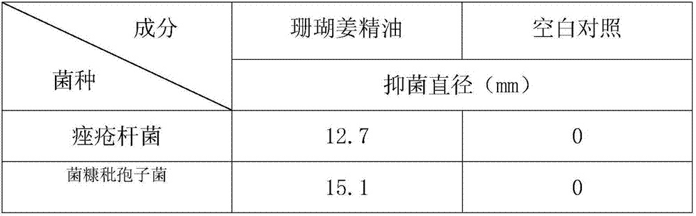 Zingiber corallinum Hance essential oil with anti-dandruff activity and preparation method and application thereof