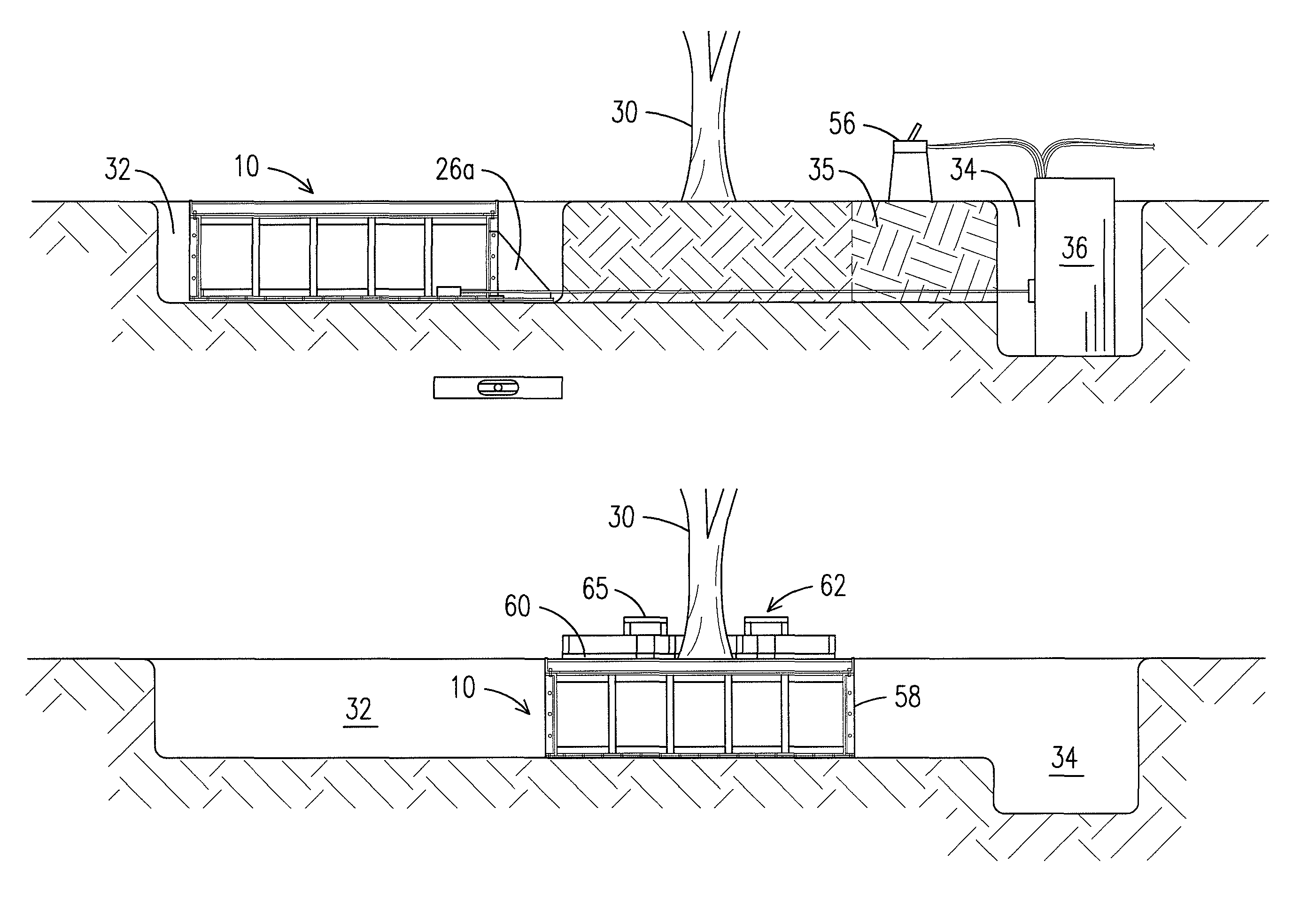 Method and system for transplanting large trees