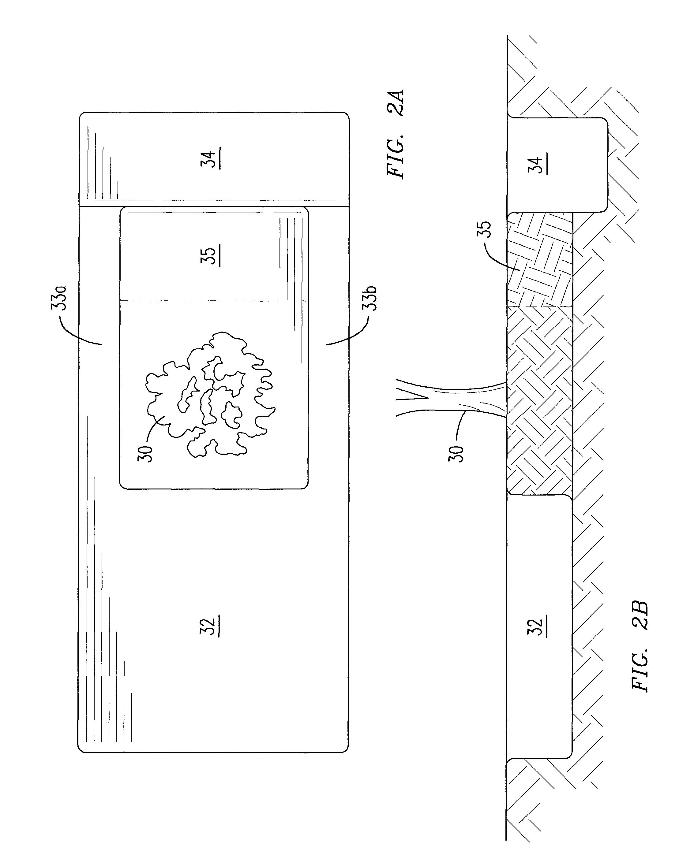 Method and system for transplanting large trees