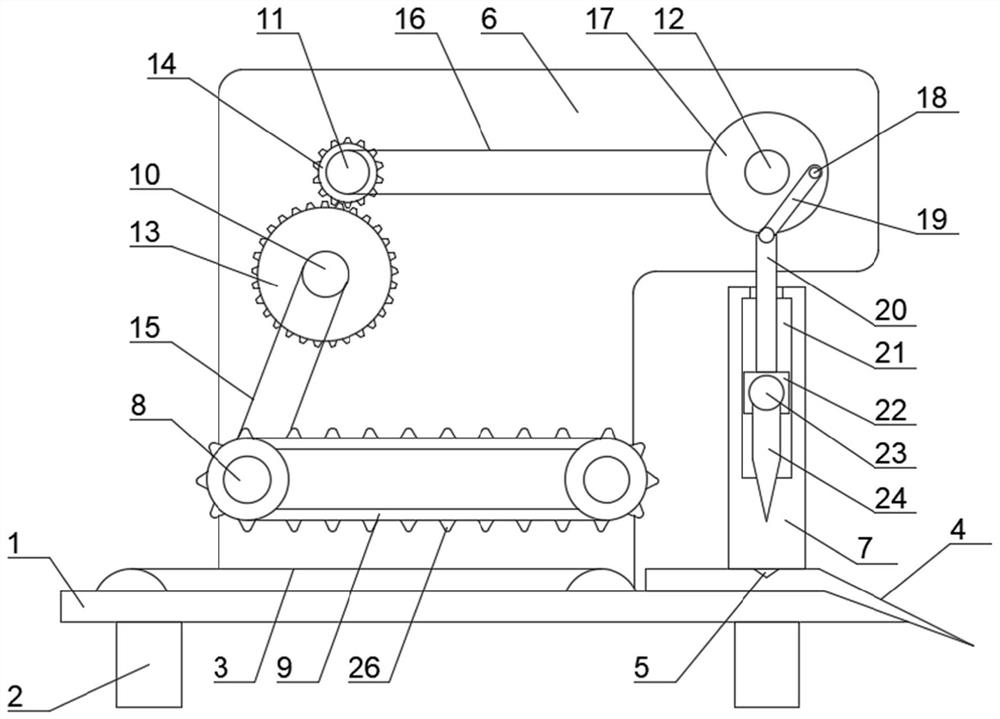 Slitting device for squid processing