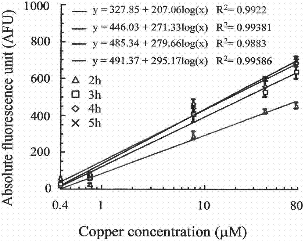 Escherichia coli used for detecting copper