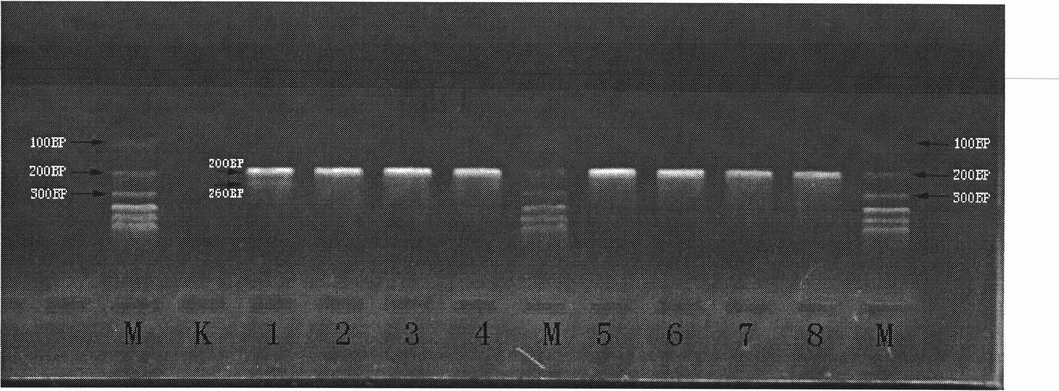 Multiple polymerase chain reaction (PCR) kit and method for detecting mosquito-borne pathogens