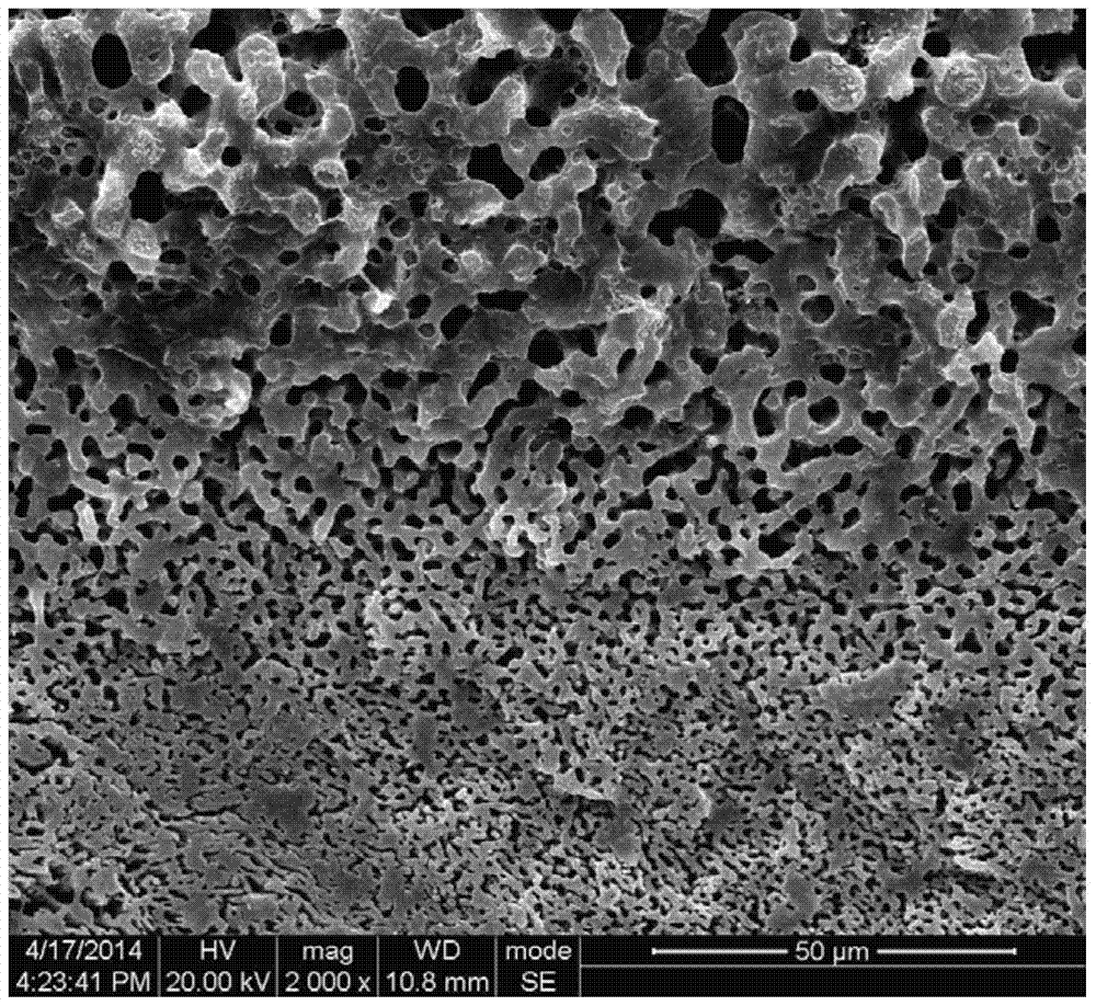 A kind of preparation method of gradient porous polymer material