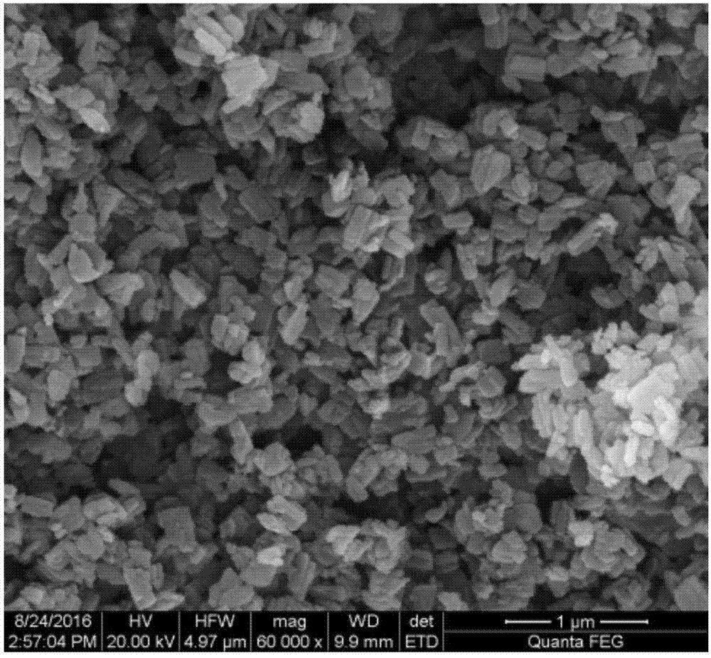 Mesoporous selective molecular sieve and preparation method thereof