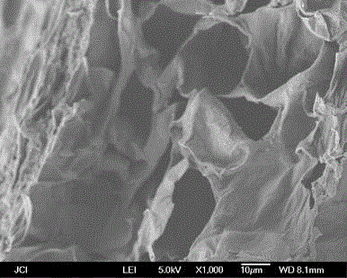 Method for preparing high-color-developing zirconium-silicate-coated carbon black pigment by taking plant fiber as carbon source