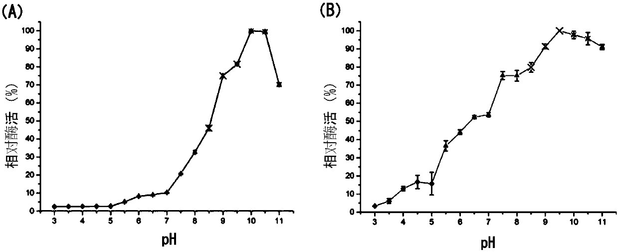 Alkaline urate oxidase and applications thereof to detection kit and reduction of uric acid in foods