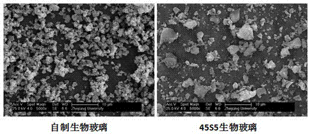 Bioglass granular material and preparation technique thereof