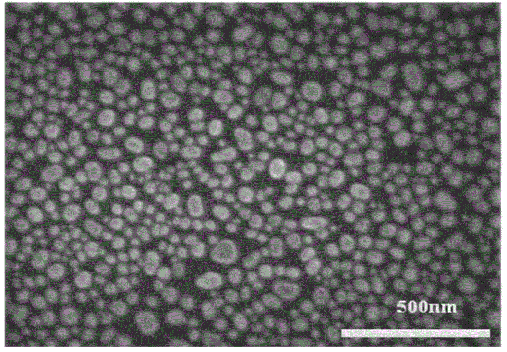 A kind of solar cell based on the principle of surface plasmon enhancement and its preparation method