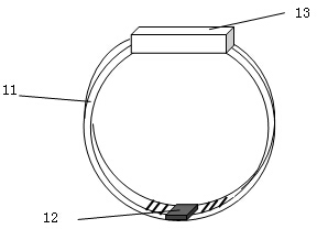 Breeding pig delivery room monitoring system and method based on wireless transmission