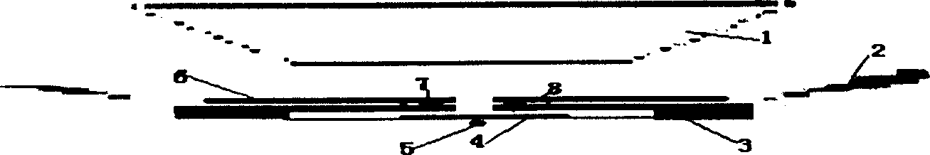 Biomolecule motor magnetic regulating and controlling device