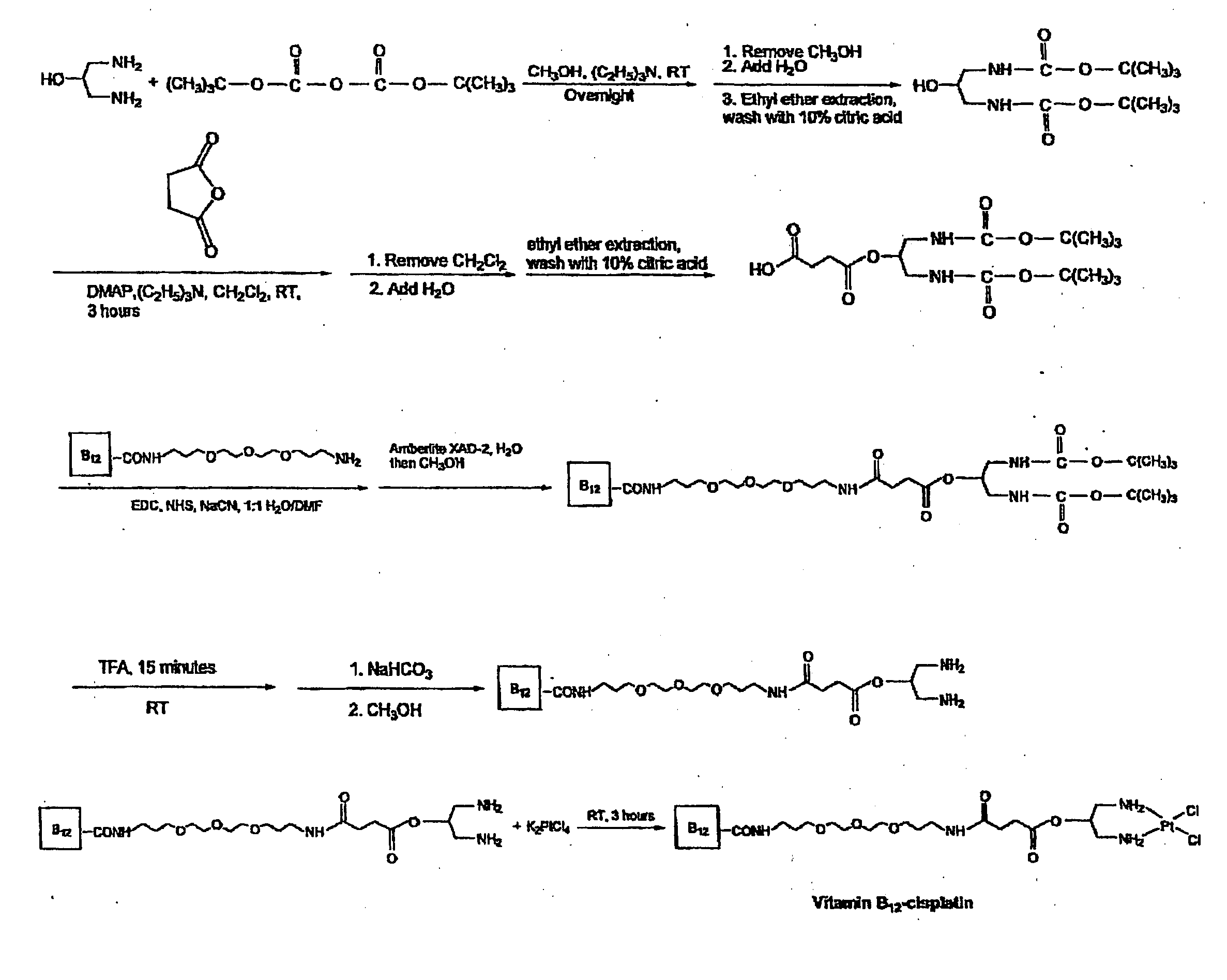 Drug delivery and targeting with vitamin B12 conjugates