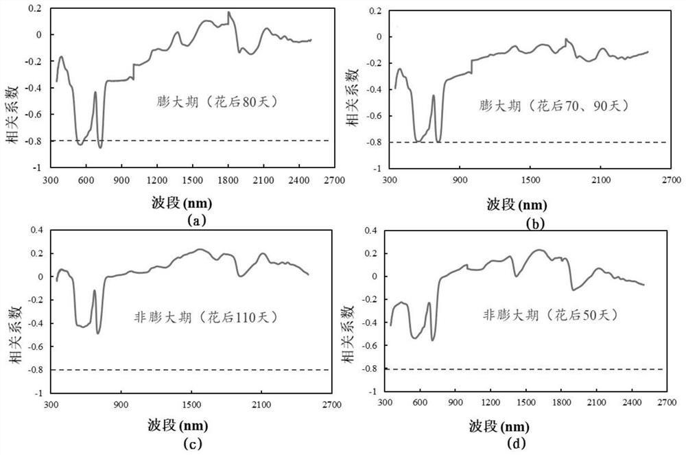 A method and system for determining the nitrogen content of tree leaves in the period of fruit expansion