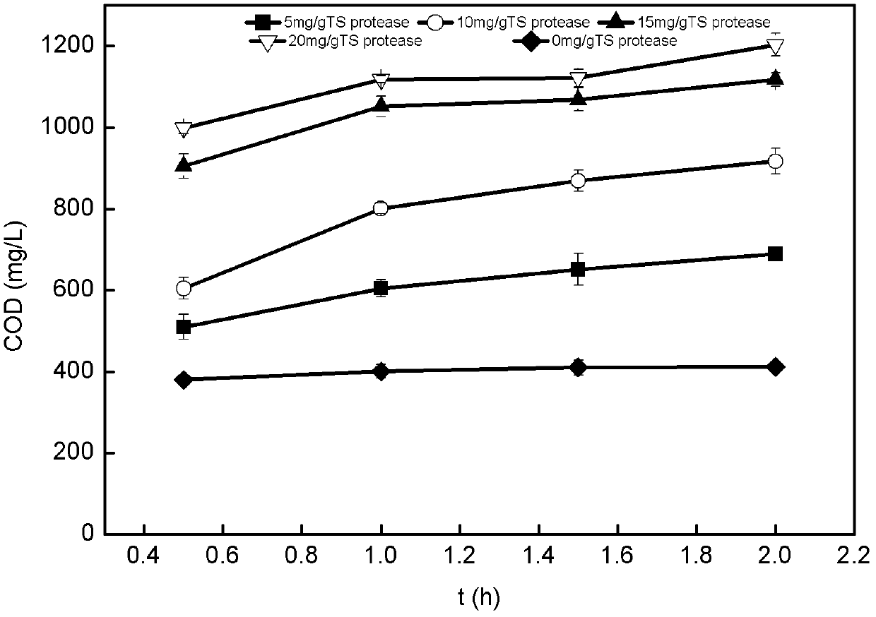 Municipal sludge pretreatment method enhancing sludge anaerobic fermentation acid production