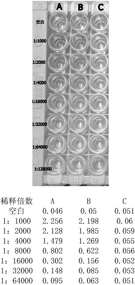 Application of CD146 monoclonal antibody in detection and separation and identification of glioma perivascular cells