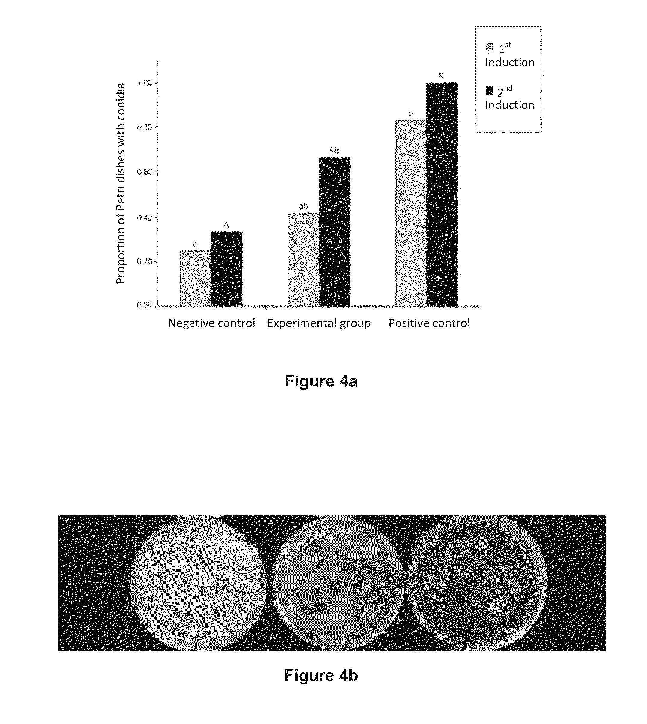 Methods for controlling leaf-cutting ants