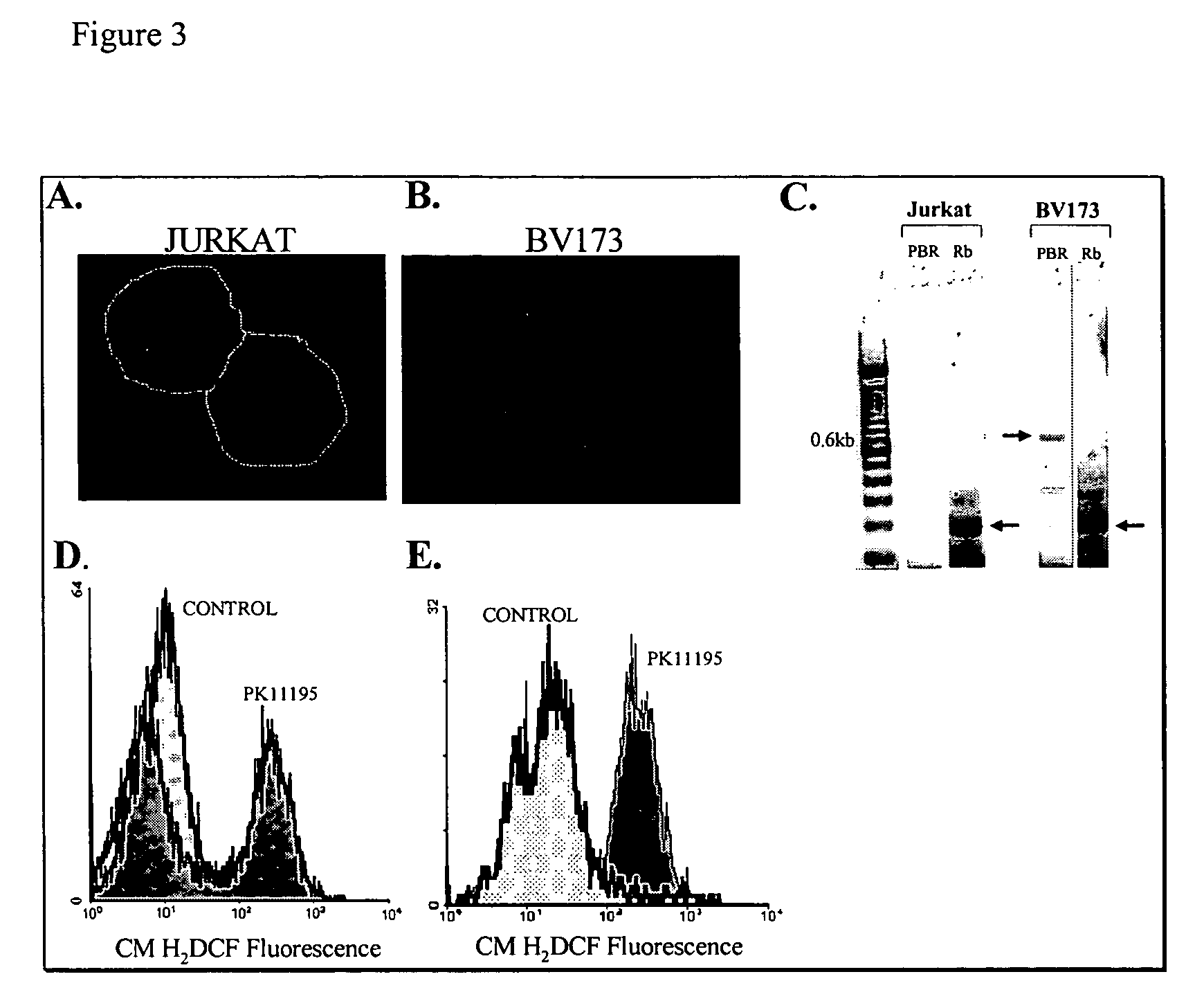 Peripheral benzodiazepine receptor independent superoxide generation