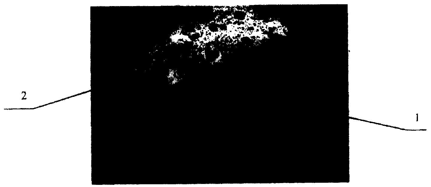 Method for preparing microspheric PGDT separating medium with two kinds of pore forms