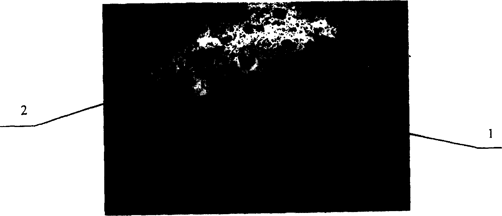 Method for preparing microspheric PGDT separating medium with two kinds of pore forms