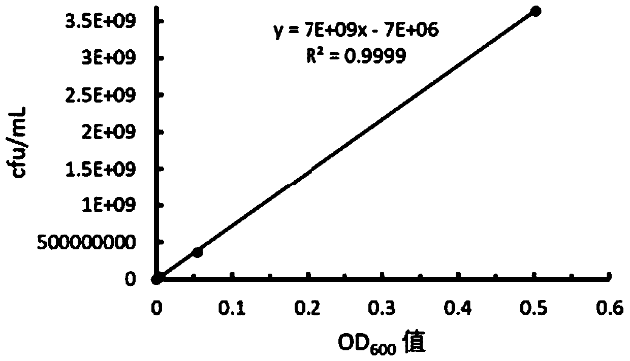 Wheat germ protein hydrolysate and preparation method and application thereof