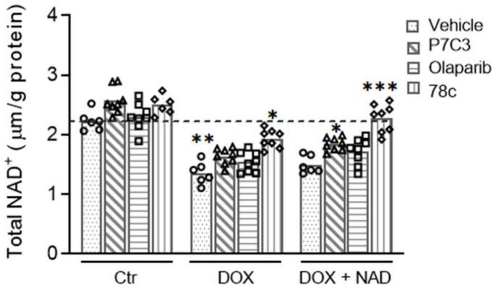 Pharmaceutical composition containing NAD (Nicotinamide Adenine Dinucleotide) and CD38 inhibitor and application thereof