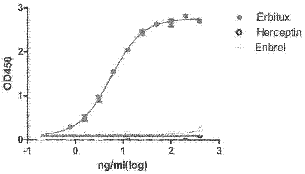 Antibody blocking cetuximab and egfr binding, its kit and hybridoma cell