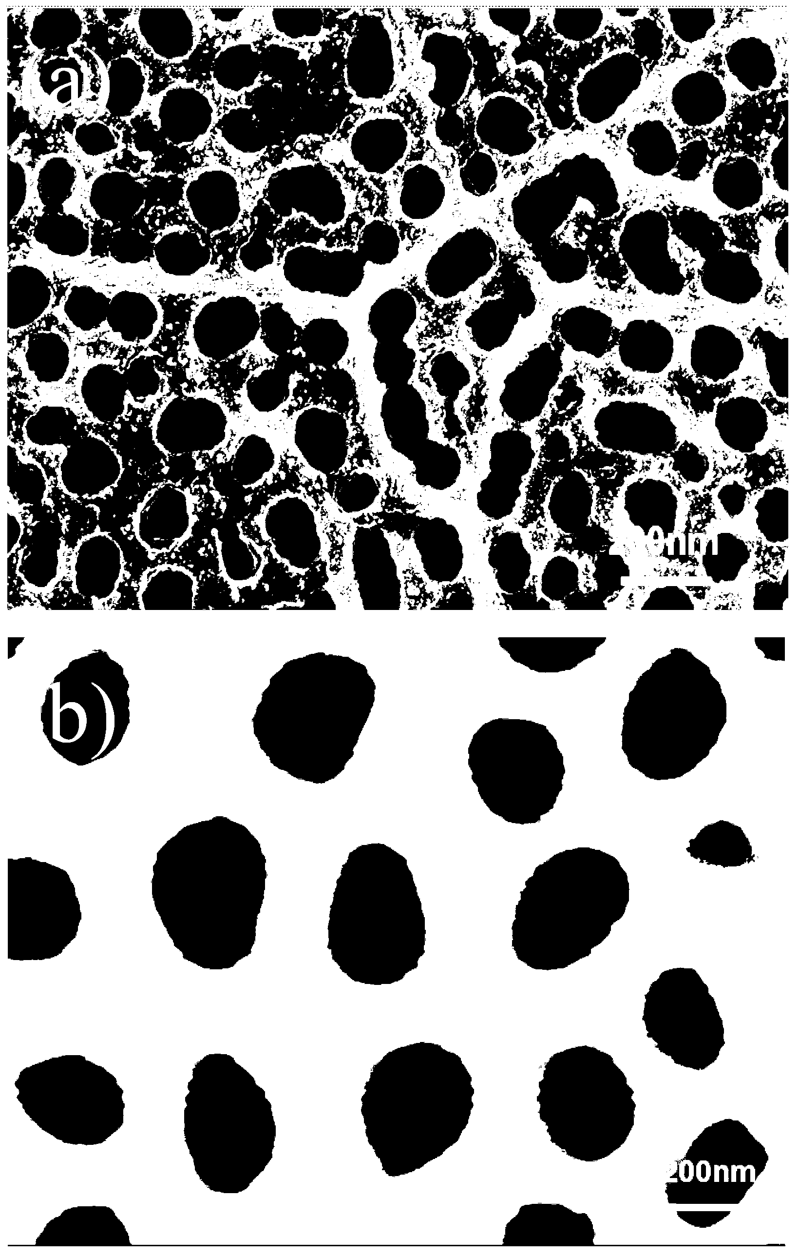 Preparation method for CaO-SiO2/PAA composite film material having biological activity