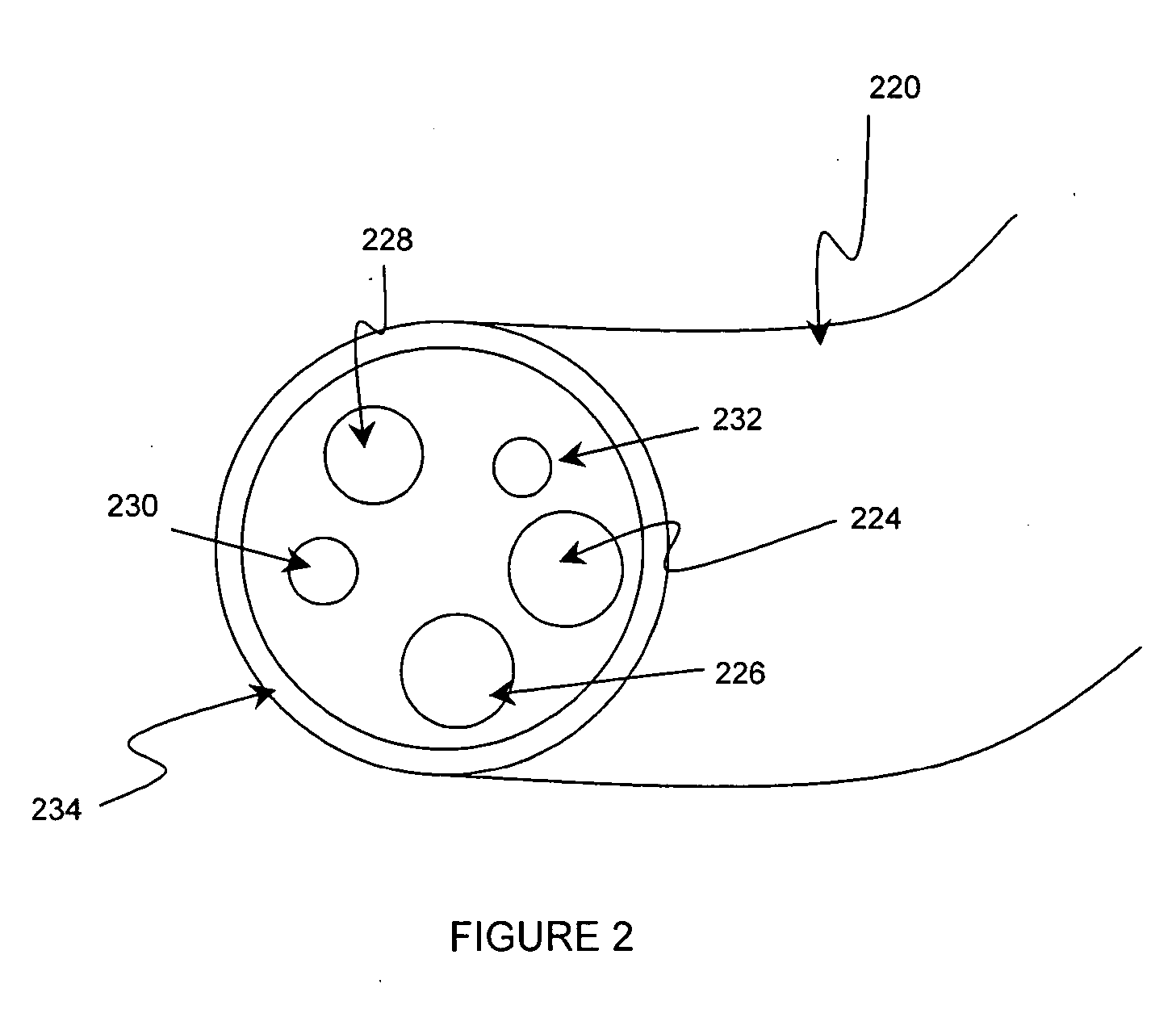 Endoscope with remote control module or camera