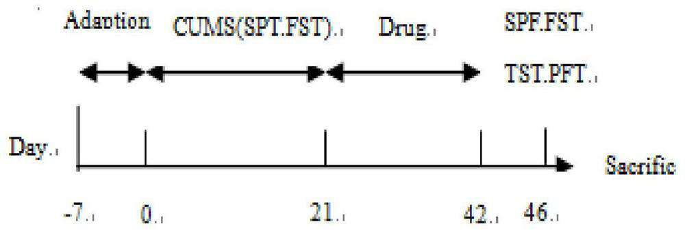 Application of roxburgh rose glycoside in preparation of anti-depression products