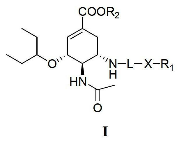 Derivatives of oseltamivir, and method and medical application thereof