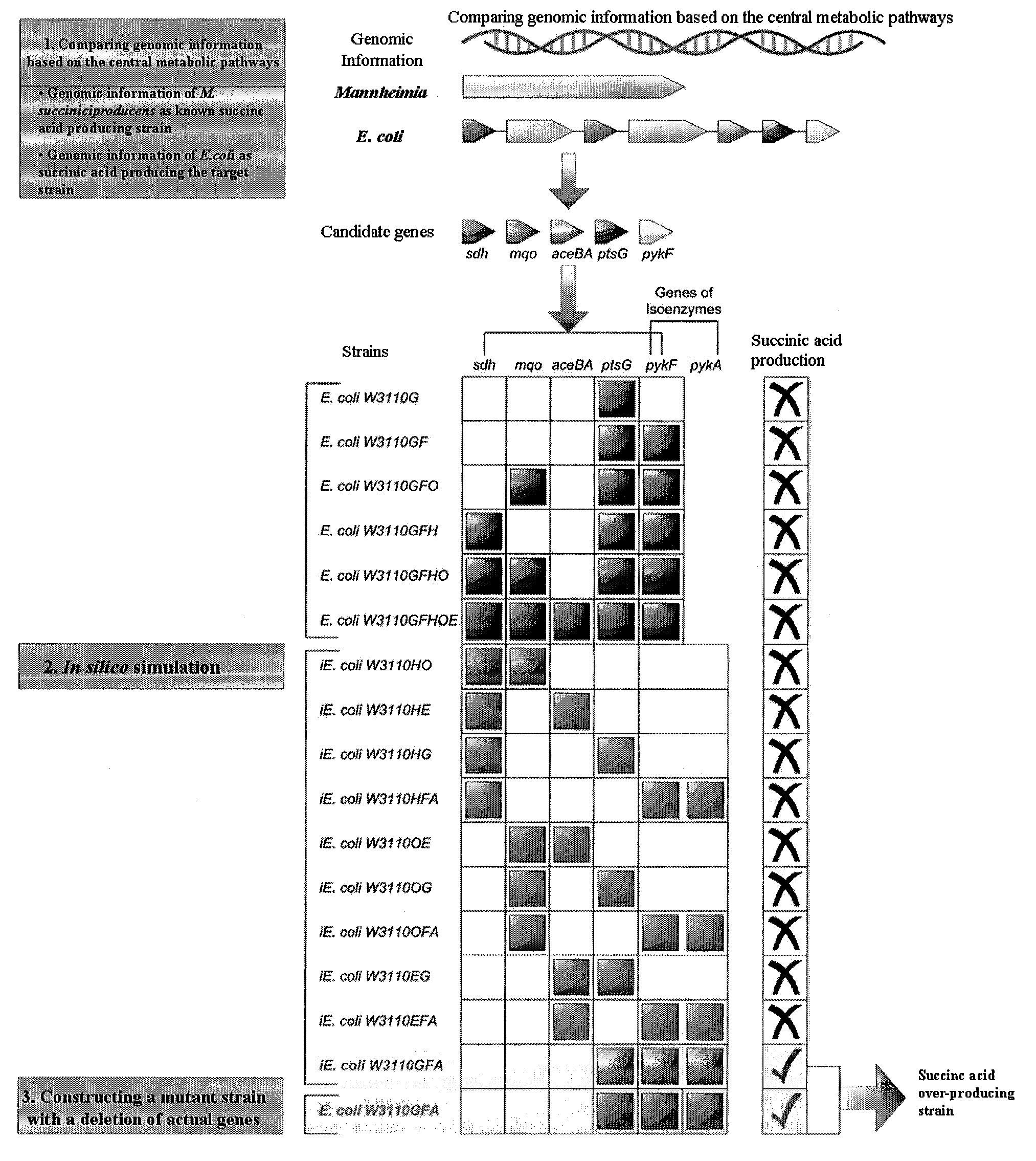 Method For Improving A Strain Based On In-Silico Analysis