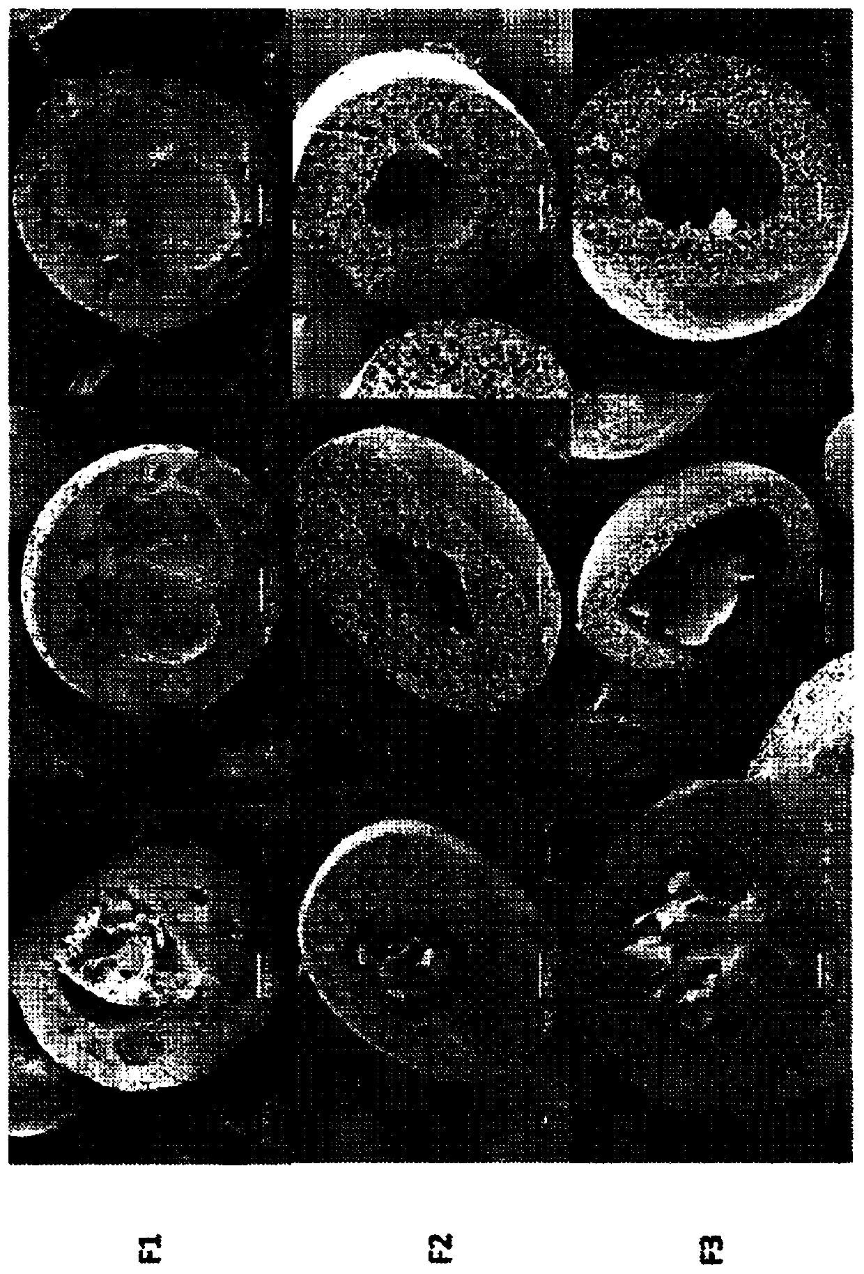 Floatable pharmaceutical microcapsule composition