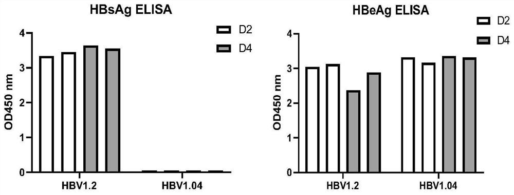 AAV-HBV recombinant virus based on S gene cleavage, and establishment method and application of hepatitis B virus mouse model