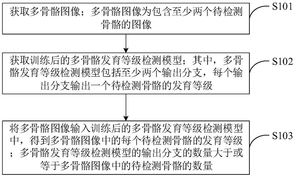 Multi-skeletal development level detection method and terminal equipment