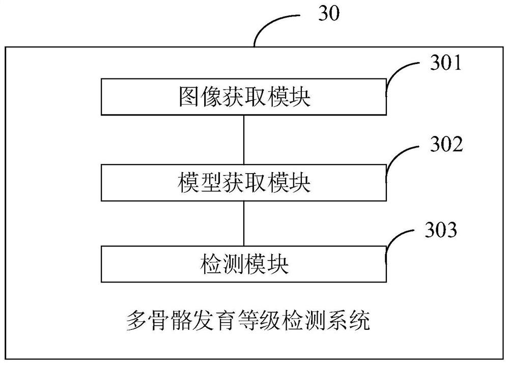 Multi-skeletal development level detection method and terminal equipment