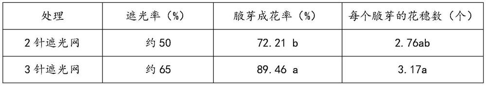 High-yield and high-quality cultivation method for promoting flower bud differentiation of morus giganteus