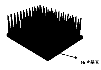 Preparation method of bionic gecko adhesive tape