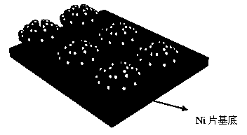 Preparation method of bionic gecko adhesive tape