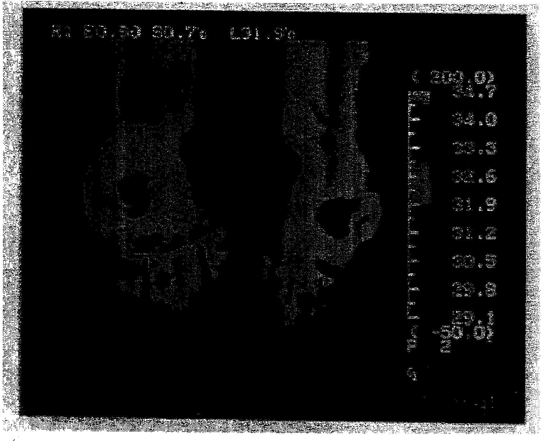 Silicon rubber foam and producing method and use thereof