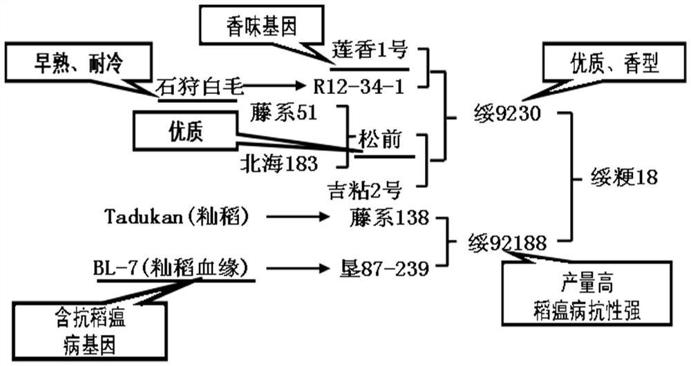 Crop breeding method