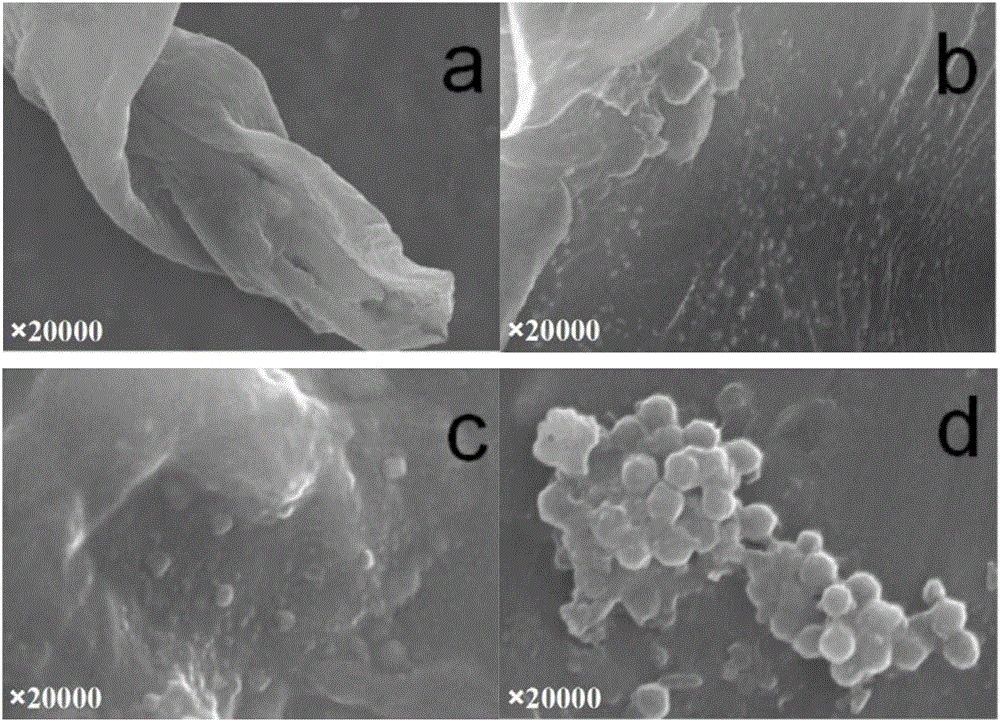 Application of high-dispersity hybridization antibacterial agent in aspect of ultrafiltration membrane improvement