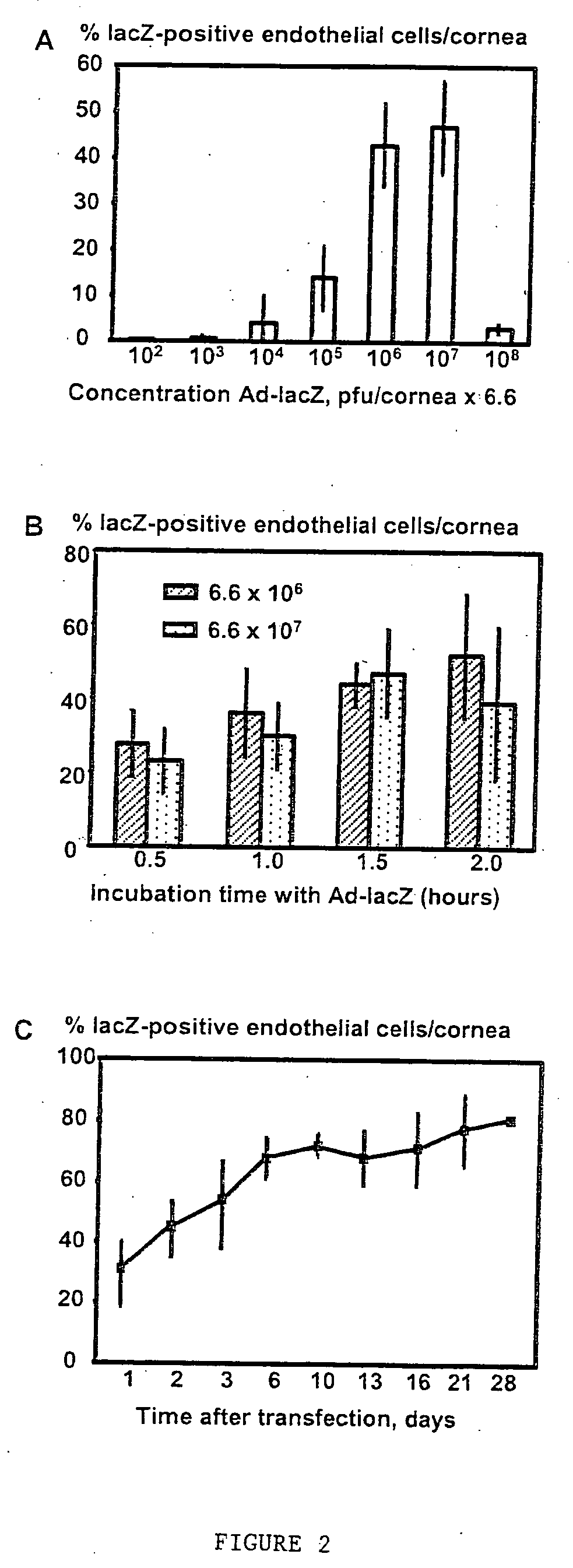 Corneal cells expressing active agents and methods of use thereof