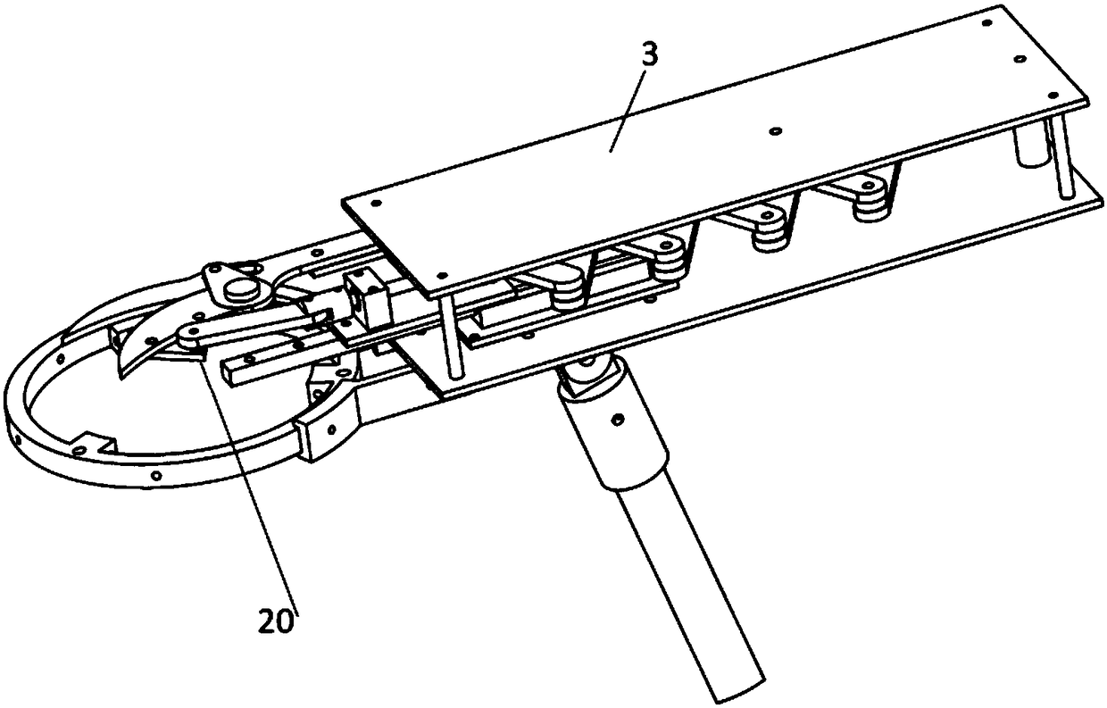 Self-adaption auxiliary picking device for oranges