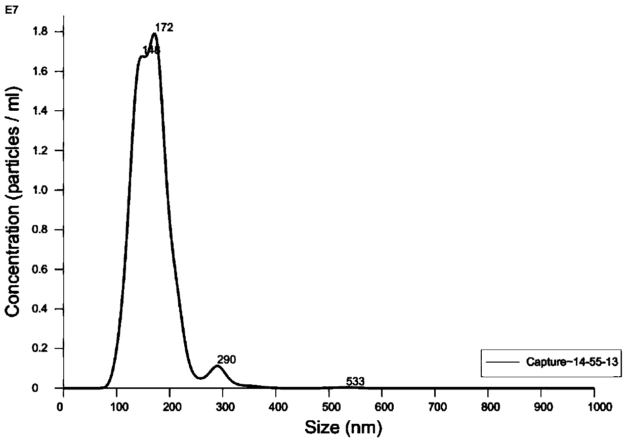 Targeted vesicle drug prepared through erythrocyte