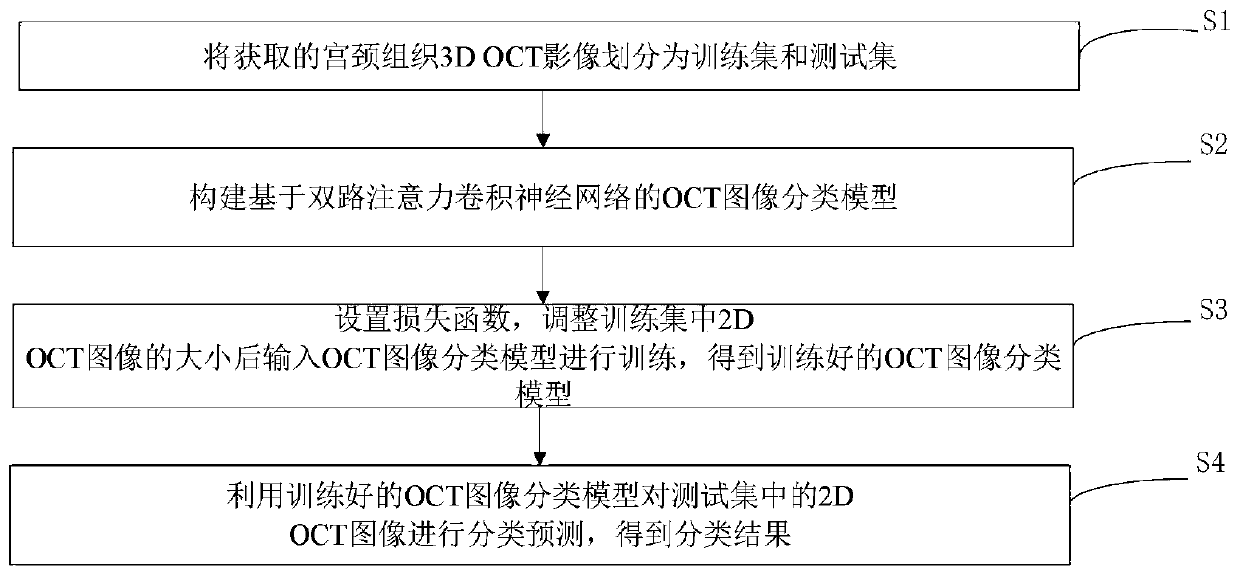 Cervix uteri OCT image classification method and system based on two-way attention convolutional neural network