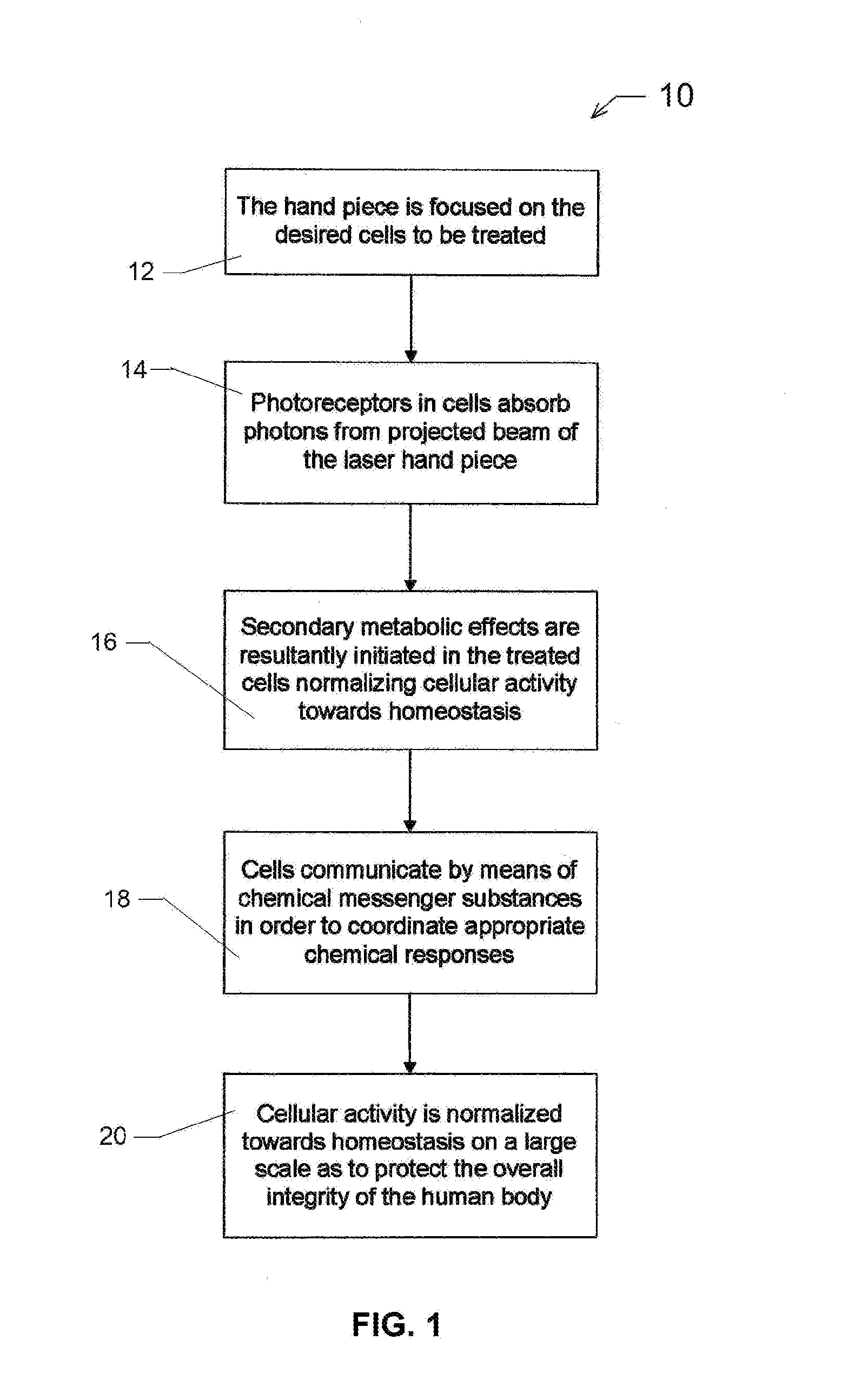 Biological Tissue Stimulation of the Auto Immune System Cellular Reaction by Using Optical Energy