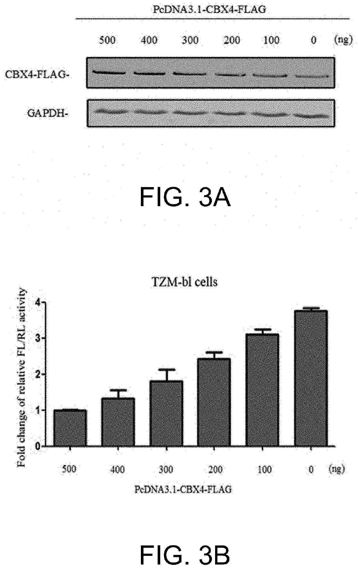 Use of cbx4 as target for activation of hiv-1 latent infection